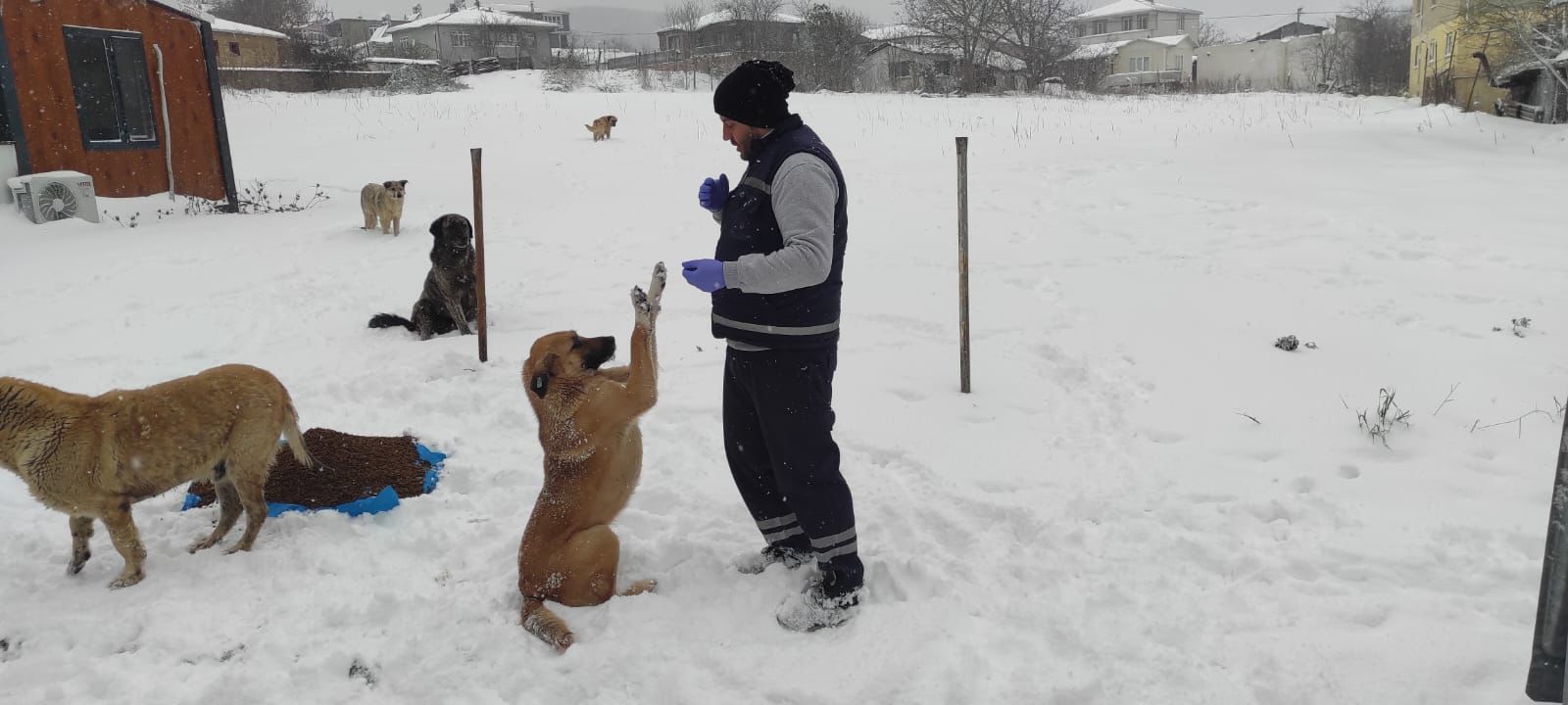 Hava Koşulları