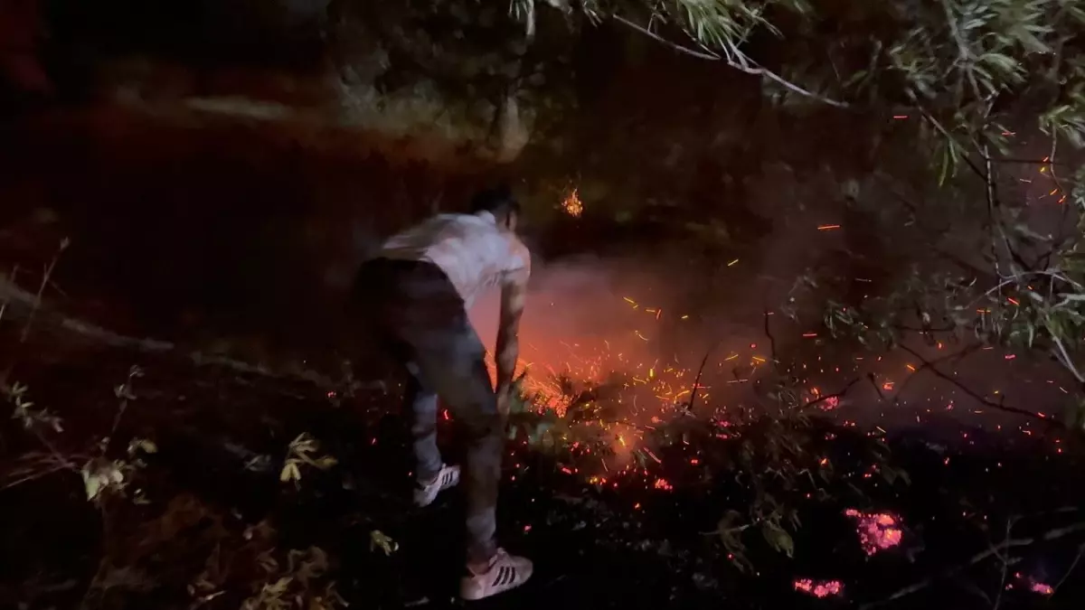 Aksu’da Orman Yangınında Kundaklama İddiası