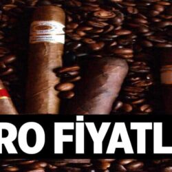 Puro Fiyatlari 1024x622mAJ.jpg