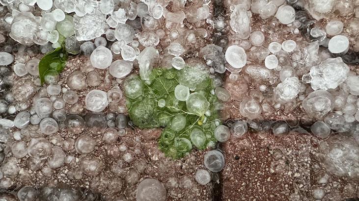 Yağış Görüntüsü