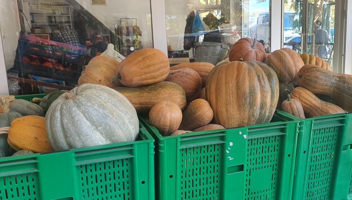 35 kiloya ulasti kimyasal kullanmadan dogal yontemle urettiler 3gpidtUx.jpg