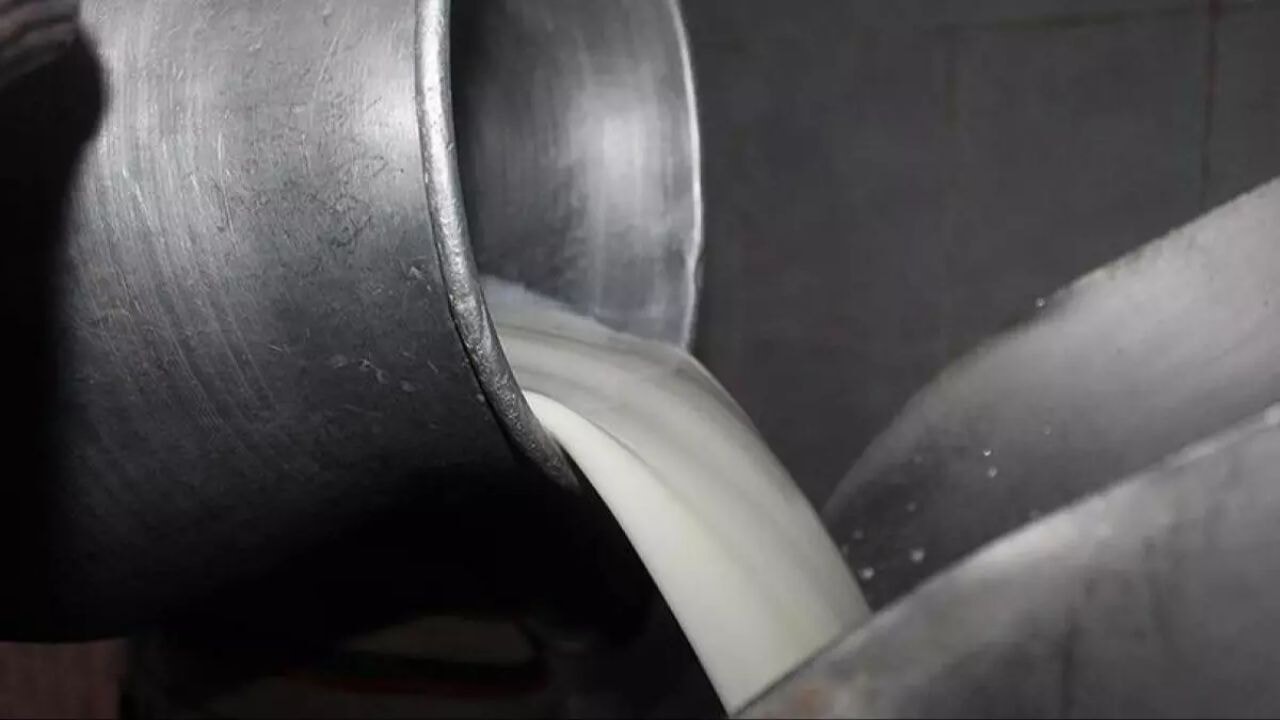 cig sute yeni yag orani duzenlemesi resmi gazetede yayimlandi zqJycBEU.webp