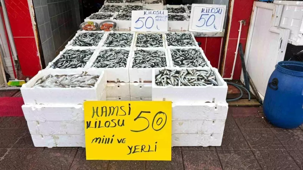 rizede hamsi fiyatlari 50 tlye duserek vatandasin yuzunu guldurdu uc5ixqBs.jpg