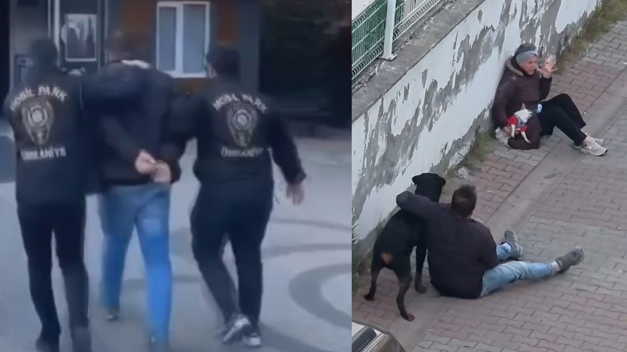 Ümraniye’de Rottweiler Saldırısı: Kadının Çığlıkları Olayı Şok Etti
