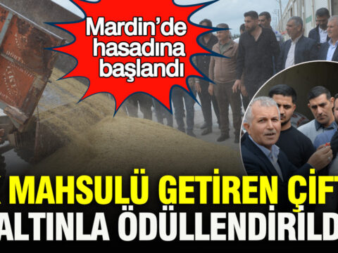 Mardin’de İlk Arpa Hasadı Gerçekleşti: Çiftçiye Altın Ödülü