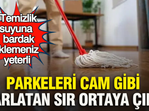 Parkelerinizi Parlak ve Canlı Hale Getiren Doğal Temizlik Yöntemi
